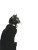 Black Cat Bow Tie Vinyl Car Decal Sticker – Waterproof & UV-Resistant 4.0"