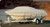 Taylor Made BoatGuard Boat Cover, V-Hull Cuddy Cabin, Fits 21-23ft, Water Repellent | Acrylic Polyester, Grey, with Storage Bag