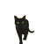 Black Cat At Dusk Vinyl Car Decal Sticker – Waterproof & UV-Resistant 8"
