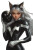 Black Cat Power Ranger Vinyl Car Decal Sticker – Waterproof & UV-Resistant 8"