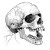 Detached Jaw Skull Vinyl Car Decal Sticker – Waterproof & UV-Resistant 8"