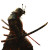 Battle Samurai Vinyl Car Decal Sticker – Waterproof & UV-Resistant 8"