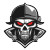 Raider Logo Vinyl Car Decal Sticker – Waterproof & UV-Resistant 8"