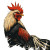 Naruto Rooster Vinyl Car Decal Sticker – Waterproof & UV-Resistant 8"