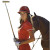 Polo Player Vinyl Car Decal Sticker – Waterproof & UV-Resistant 8"