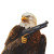Patriotic Eagle V5 Vinyl Car Decal Sticker – Waterproof & UV-Resistant 8"