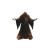 Ritualistic Wizard Vinyl Car Decal Sticker – Waterproof & UV-Resistant 8"