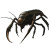 Dark Cavern Demon Vinyl Car Decal Sticker – Waterproof & UV-Resistant 8"