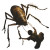Dark Fantasy Cockroach Vinyl Car Decal Sticker – Waterproof & UV-Resistant 8"