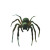 Ancient Spider Classroom Vinyl Car Decal Sticker – Waterproof & UV-Resistant 8"
