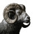Curly Horned Ram Vinyl Car Decal Sticker – Waterproof & UV-Resistant 8"