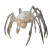 Bone Spider V2 Vinyl Car Decal Sticker – Waterproof & UV-Resistant 8"