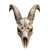 Exaggerated Goat Skull Vinyl Car Decal Sticker – Waterproof & UV-Resistant 8"