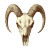 Vintage Goat Skull Vinyl Car Decal Sticker – Waterproof & UV-Resistant 8"