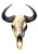 Water Buffalo Skull Vinyl Car Decal Sticker – Waterproof & UV-Resistant 8"