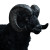 Dark Ram Head Vinyl Car Decal Sticker – Waterproof & UV-Resistant 8"