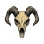 Caricature Goat Skull Vinyl Car Decal Sticker – Waterproof & UV-Resistant 8"