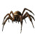 Giant Spider Portrait Vinyl Car Decal Sticker – Waterproof & UV-Resistant 8"