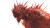 Scarlet Spiked Monster Vinyl Car Decal Sticker – Waterproof & UV-Resistant 8"