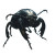 Humanoid-Faced Beetle Vinyl Car Decal Sticker – Waterproof & UV-Resistant 8"