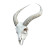 Antelope Skull V2 Vinyl Car Decal Sticker – Waterproof & UV-Resistant 8"