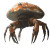 Crab Mushroom Kaiju Vinyl Car Decal Sticker – Waterproof & UV-Resistant 8"