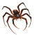 Inferno Spider Vinyl Car Decal Sticker – Waterproof & UV-Resistant 8"