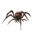Giant Face Spider Vinyl Car Decal Sticker – Waterproof & UV-Resistant 8"