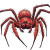 Enormous Red Spider Vinyl Car Decal Sticker – Waterproof & UV-Resistant 8"