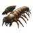 Colossal Insectoid Centipedes Vinyl Car Decal Sticker – Waterproof & UV-Resistant 8"