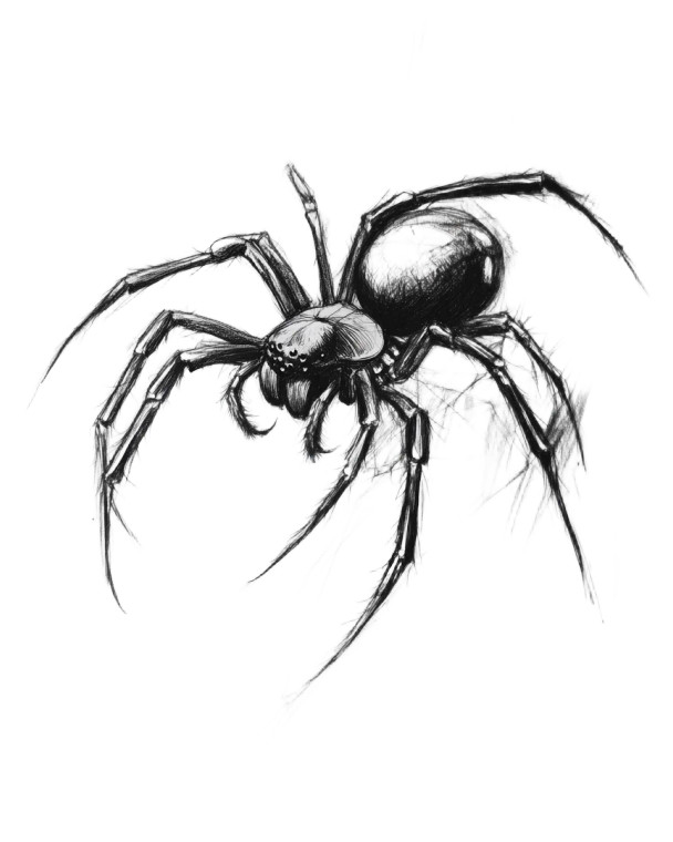 Spider Tattoo Design Vinyl Car Decal Sticker – Waterproof & UV-Resistant 8"