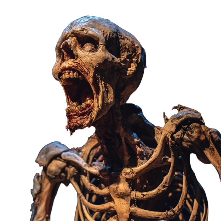 Screaming Skeletal Man Vinyl Car Decal Sticker – Waterproof & UV-Resistant 8" Screaming Skeletal Man Vinyl Car Decal Sticker – Waterproof & UV-Resistant 8"