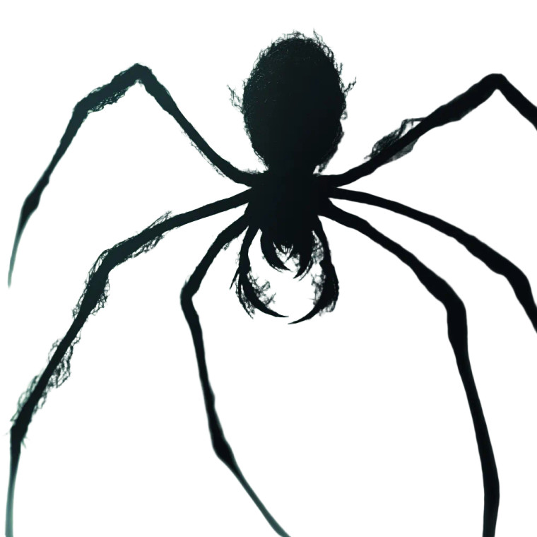 Shadow Spider Creature Vinyl Car Decal Sticker – Waterproof & UV-Resistant 8"