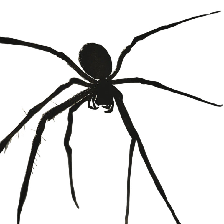 Horror Spider Vinyl Car Decal Sticker – Waterproof & UV-Resistant 8"