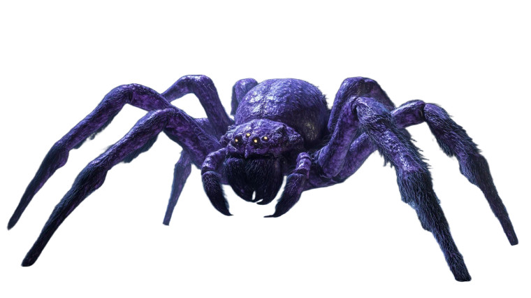 Giant Purple Spider Vinyl Car Decal Sticker – Waterproof & UV-Resistant 8"