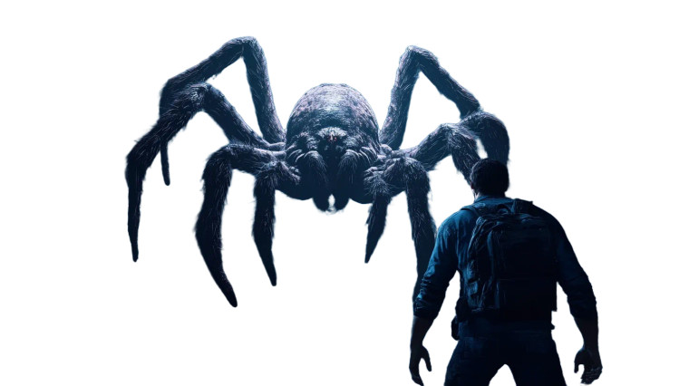 Man Vs Spider V2 Vinyl Car Decal Sticker – Waterproof & UV-Resistant 8"