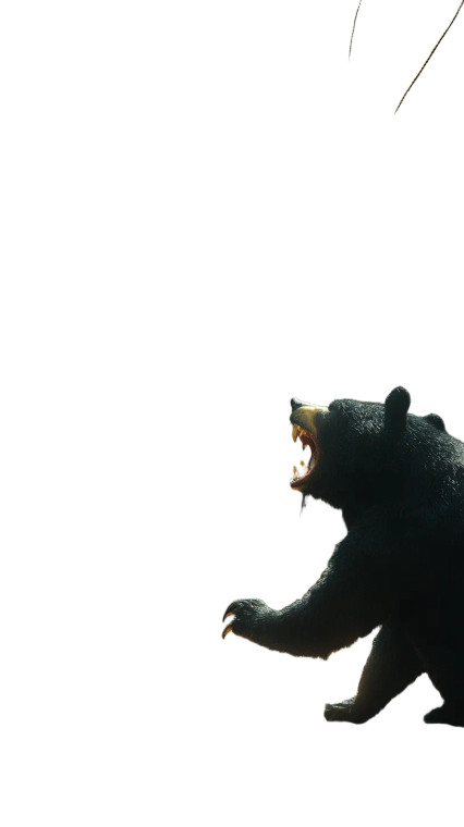 Mantis Vs Bear Vinyl Car Decal Sticker – Waterproof & UV-Resistant 8"