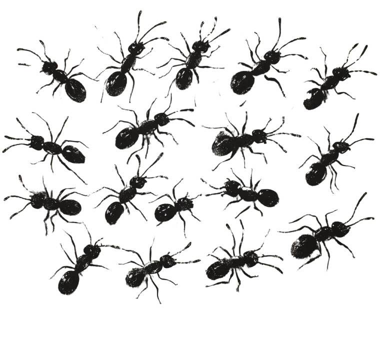 Chaotic Ant Swarm Vinyl Car Decal Sticker – Waterproof & UV-Resistant 8"