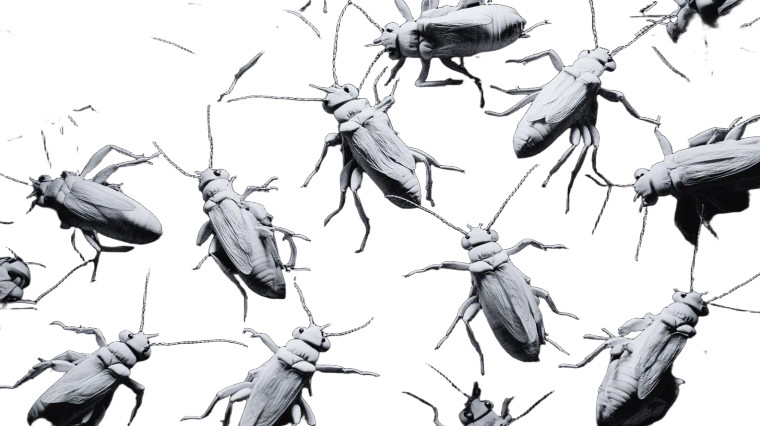Scary White Insects Vinyl Car Decal Sticker – Waterproof & UV-Resistant 8"
