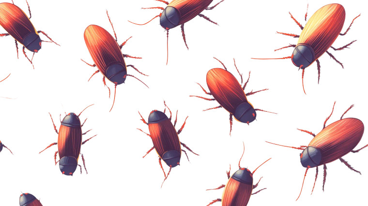 Colorful Cockroaches Illustration Vinyl Car Decal Sticker – Waterproof & UV-Resistant 8"