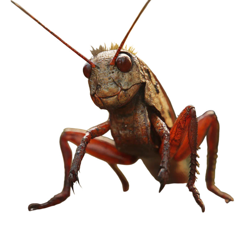 Ghibli Cricket Vinyl Car Decal Sticker – Waterproof & UV-Resistant 8"