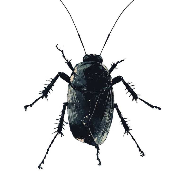 Stylized Cockroach Art Vinyl Car Decal Sticker – Waterproof & UV-Resistant 8"