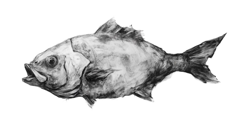 Surreal Charcoal Creature Vinyl Car Decal Sticker – Waterproof & UV-Resistant 8"