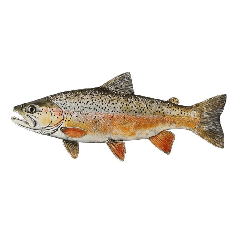 Mounted Trout Fish Vinyl Car Decal Sticker – Waterproof & UV-Resistant 8"