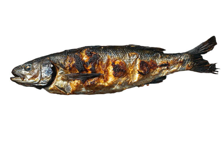 Grilled Branzino Close-Up Vinyl Car Decal Sticker – Waterproof & UV-Resistant 8"