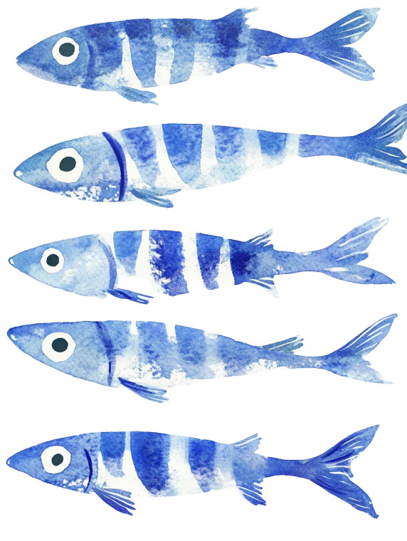 Matisse'S Flying Sardines Vinyl Car Decal Sticker – Waterproof & UV-Resistant 8"