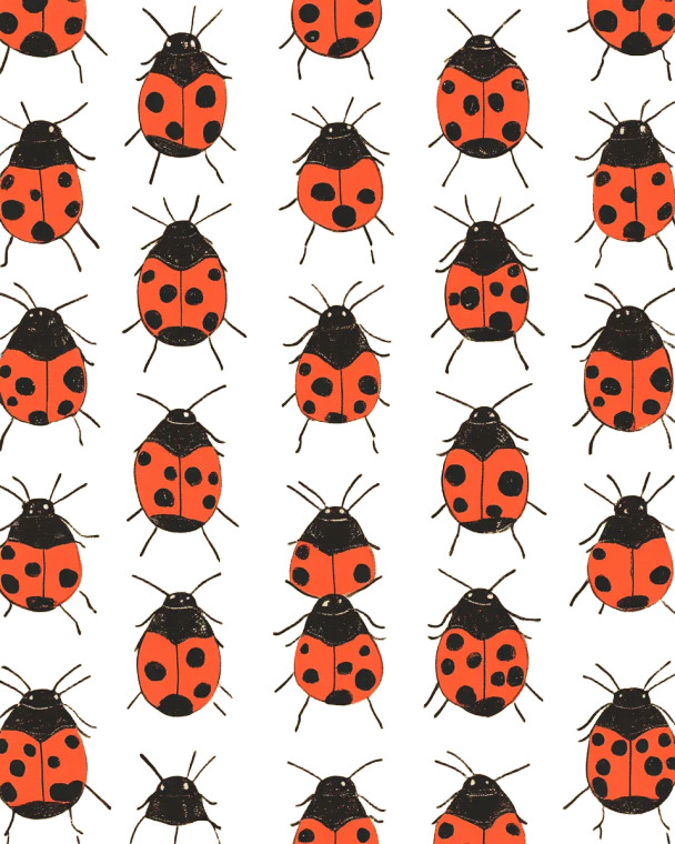 Ladybug Pattern Vinyl Car Decal Sticker – Waterproof & UV-Resistant 8"