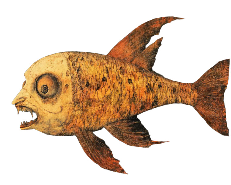 Human-Headed Fish Vinyl Car Decal Sticker – Waterproof & UV-Resistant 8"