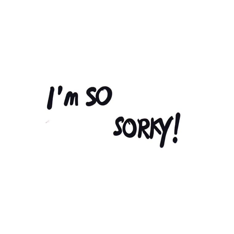 Graffiti Apology Wall Vinyl Car Decal Sticker – Waterproof & UV-Resistant 8"