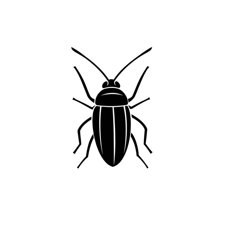 Disgusting Roach Vinyl Car Decal Sticker – Waterproof & UV-Resistant 8"